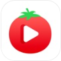 番茄社区app官网