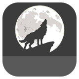 灰狼视频app