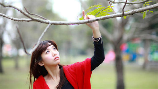 奇领影视下载：网上的影视剧视频资源全部集中在这里