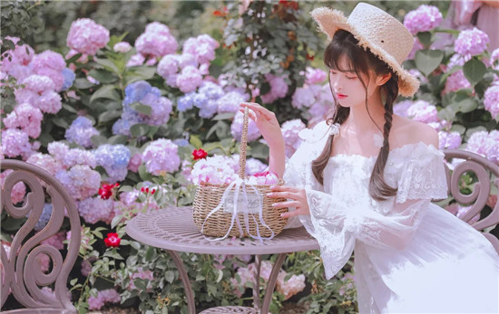 花花直播高清最新版