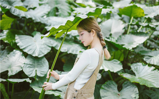 菠萝蜜视频APP免费观看：一款免费的视频软件