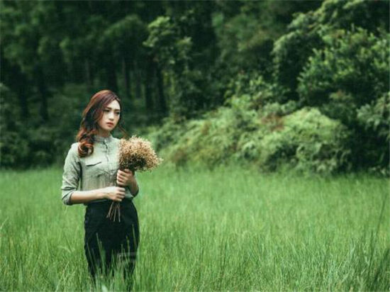 仙人掌软件破解版：所有视频资源都没有广告