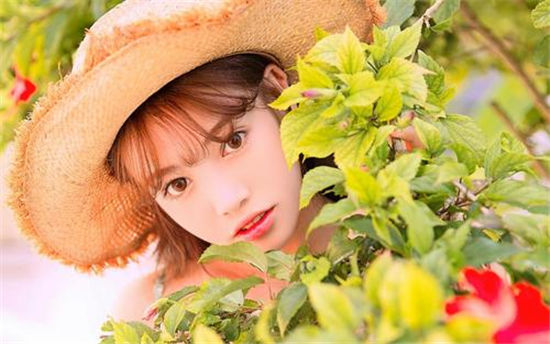 草莓榴莲向日葵秋葵香蕉免费app:看电影完全不用付一分钱