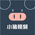 小猪视频app官方入口