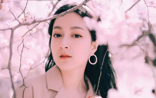 茄子丝瓜秋葵绿巨人最新版app-让你大饱眼福的视频软件