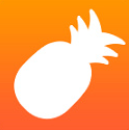 大菠萝福建导航app免费视频