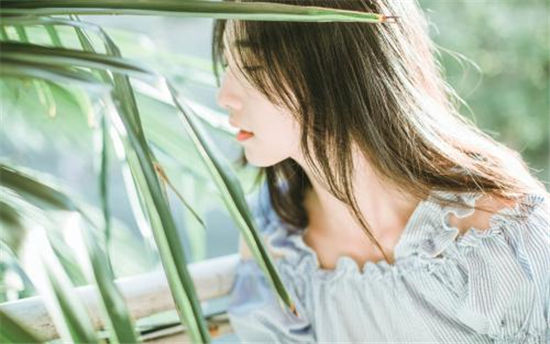 幸福宝软件站无限次数旧版-电影视频种类很多很繁杂